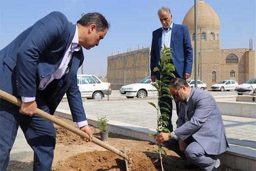 غرس نهال به مناسبت روز درختکاری